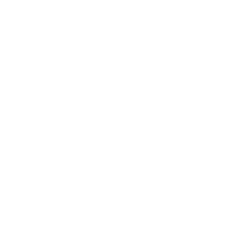An icon showing the geographical outline of the state of Florida.