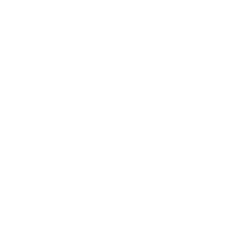An icon showing the geographical outline of the state of Maine.