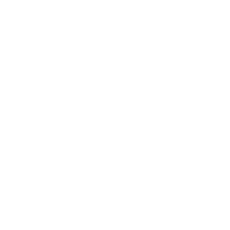 An icon showing the geographical outline of the state of Nevada.