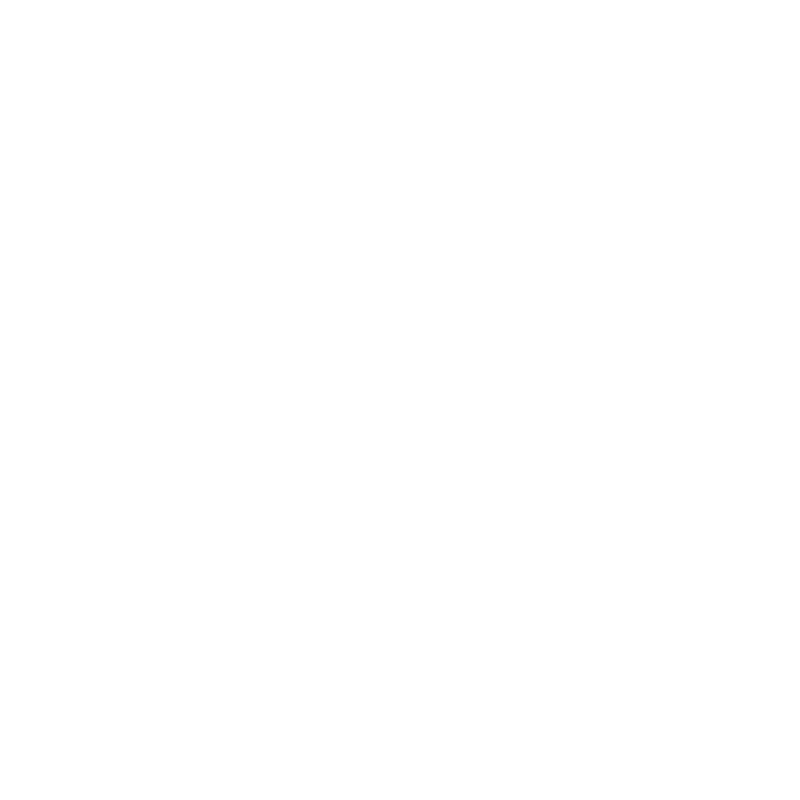 An icon showing the geographical outline of the state of New Mexico.