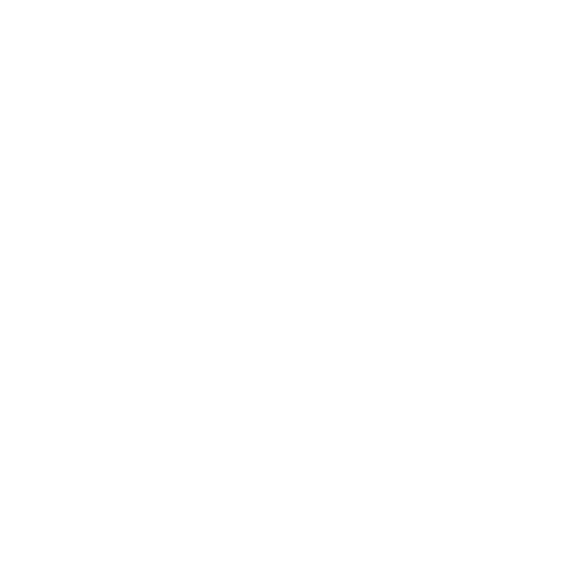An icon showing the geographical outline of the state of North Carolina.