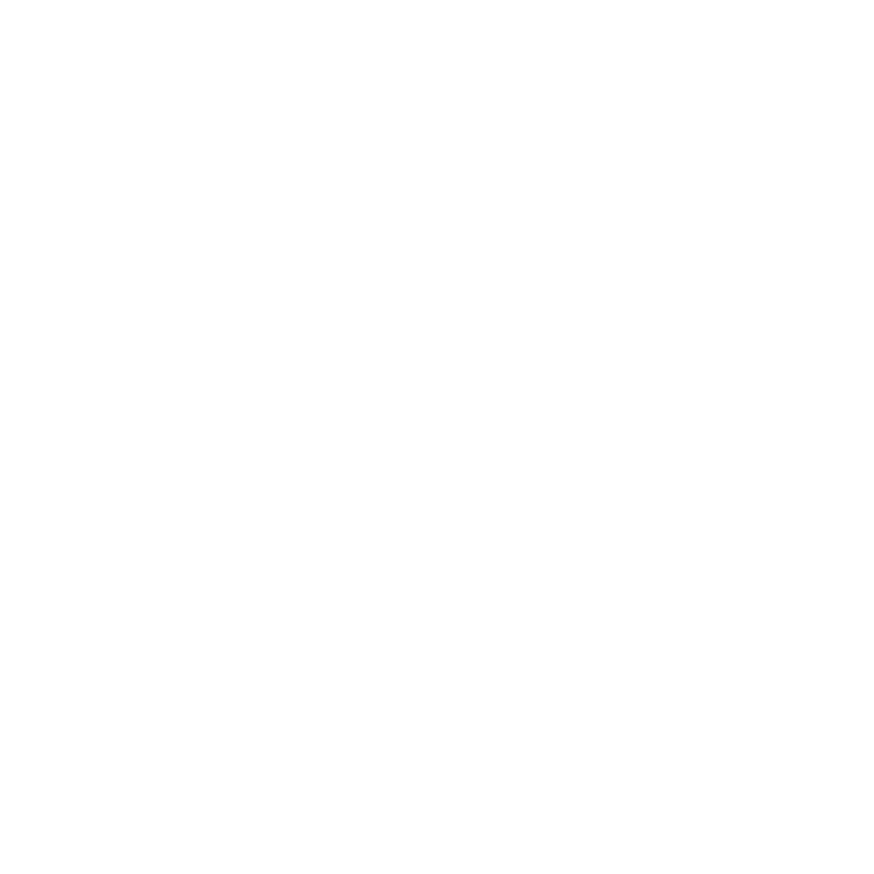 An icon showing the geographical outline of the state of South Carolina.