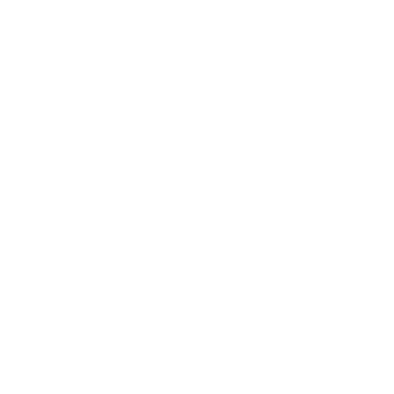 An icon showing the geographical outline of the state of Texas.