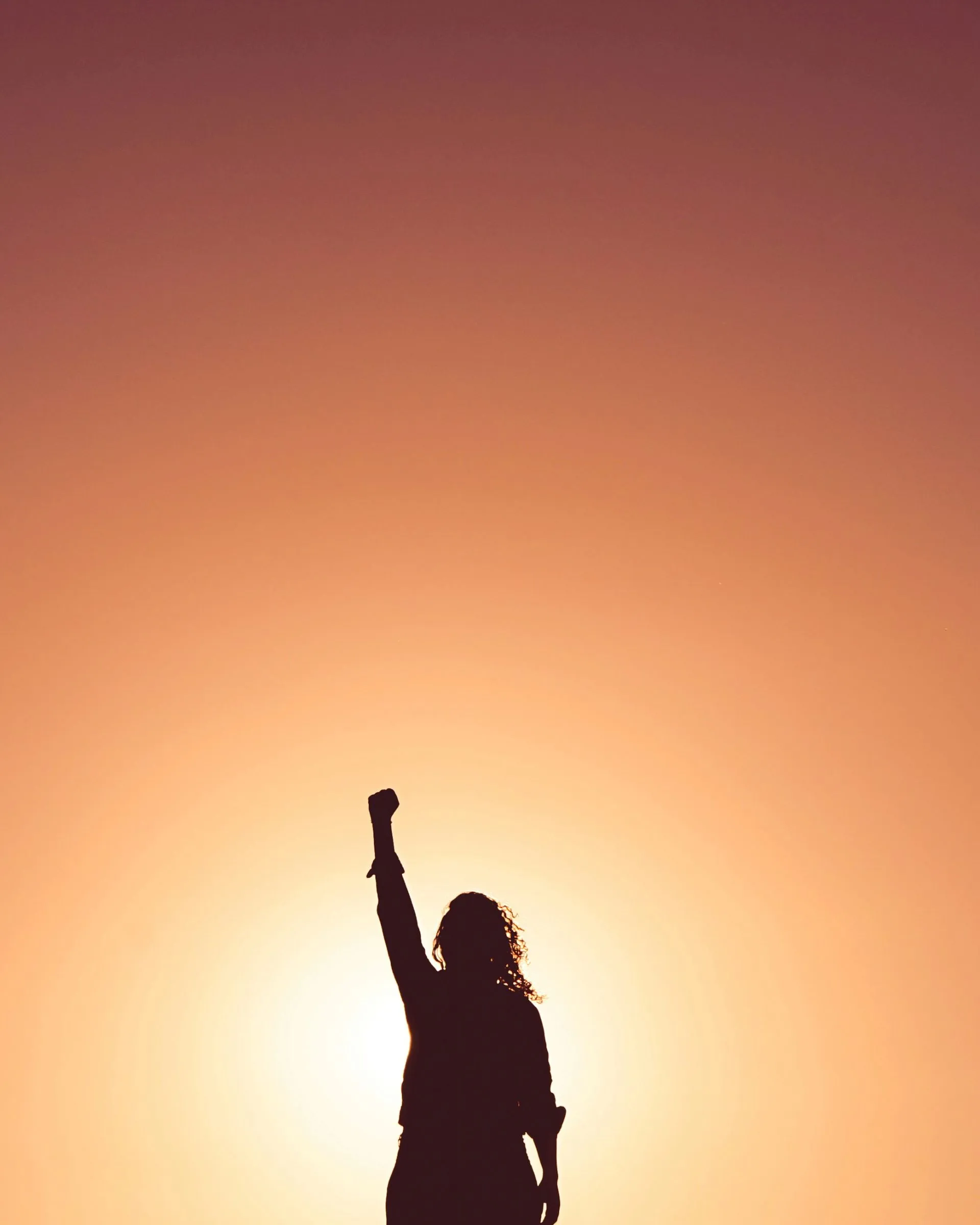 A person's dark silhouette with curly hair raises a powerful, clenched fist toward a glowing orange sky, representing resolve.
